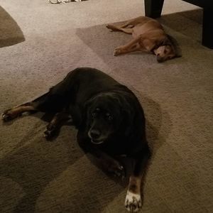 Meet your Posher, Kandi